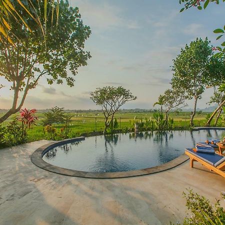 Villa D'Carik Bali เดนปาซาร์ ภายนอก รูปภาพ