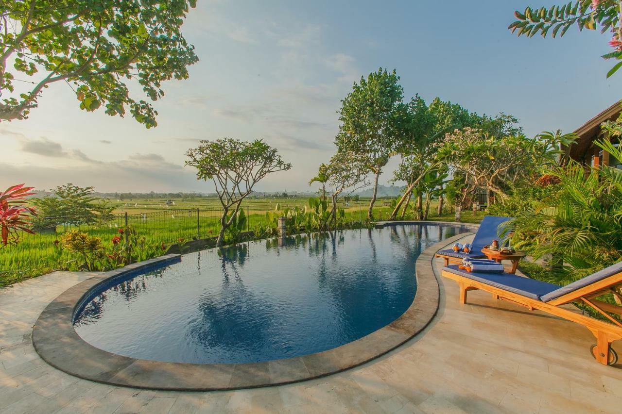 Villa D'Carik Bali เดนปาซาร์ ภายนอก รูปภาพ