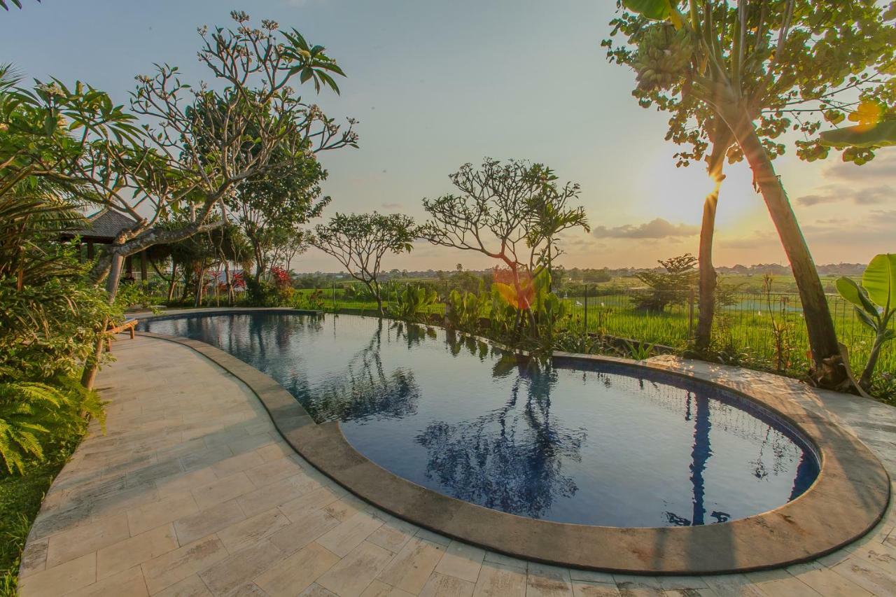 Villa D'Carik Bali เดนปาซาร์ ภายนอก รูปภาพ